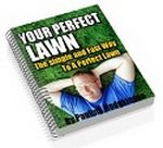 Your Perfect Lawn