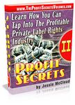 Profit Secrets - Vol. 2